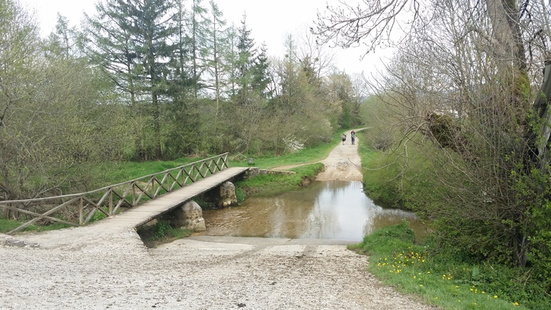 Walking to Viscarret