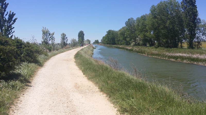19th of May – Is my Camino over? Walking to El Burgo Ranero