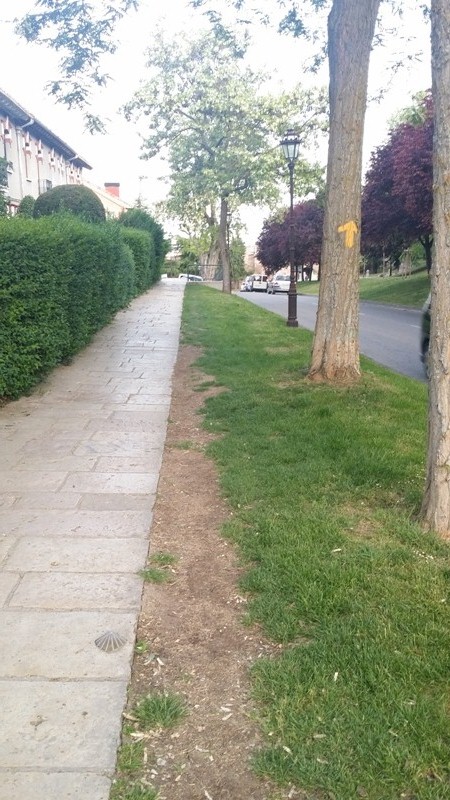 Walking from Burgos to Hornillos