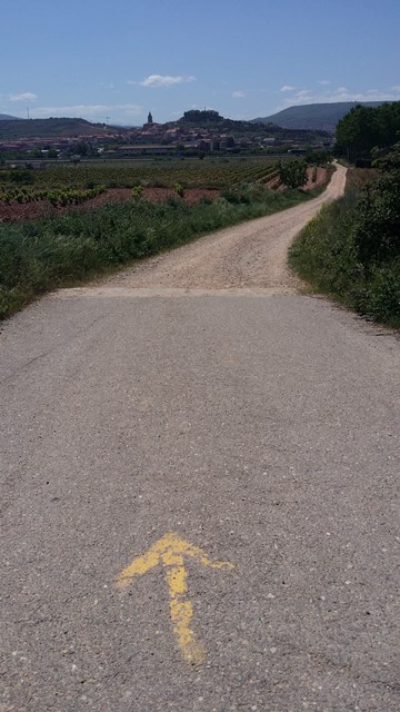 Walking from Logrono to Navarrete