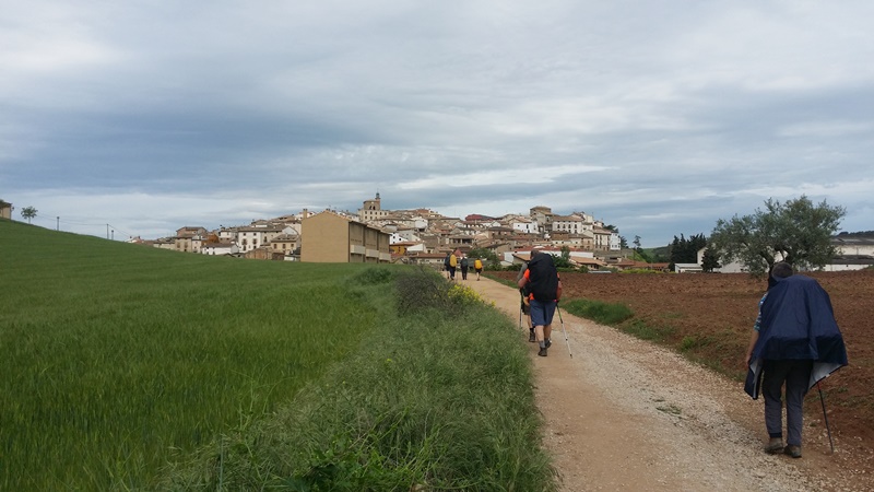 Walking from Puente la Reina to Estella