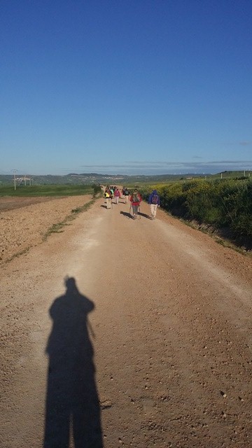 Walking from Viana to Logrono