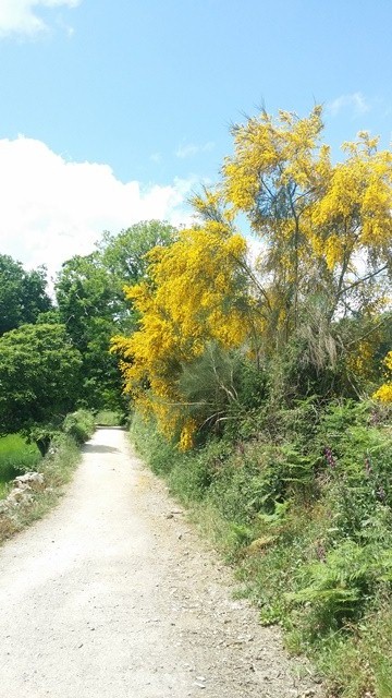 Camino walking tips