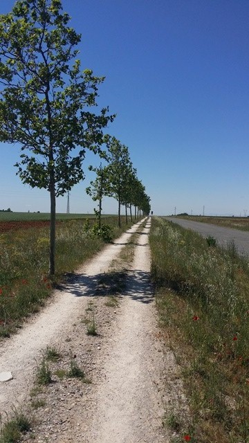 Road to El Burgo Ranero