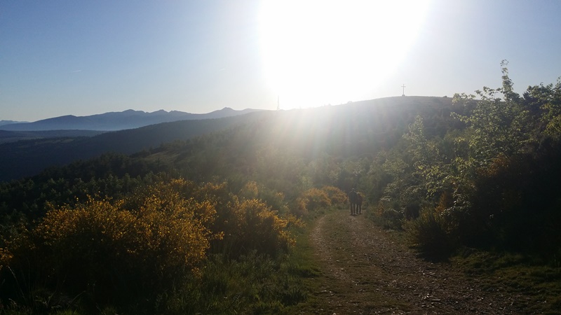 Walking from O Cebreiro to Triacastela