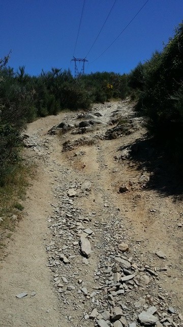 Walking to Molinaseca