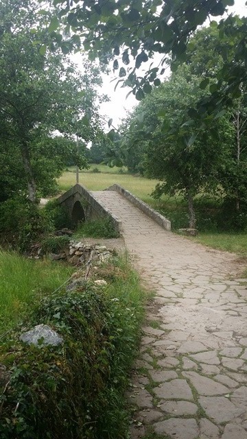 Walking Palas de Rei to Melide