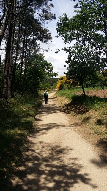 The road from Sarria to Portomarin