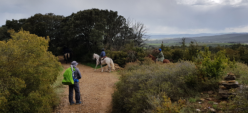 Alto del Perdon Horseback Riding