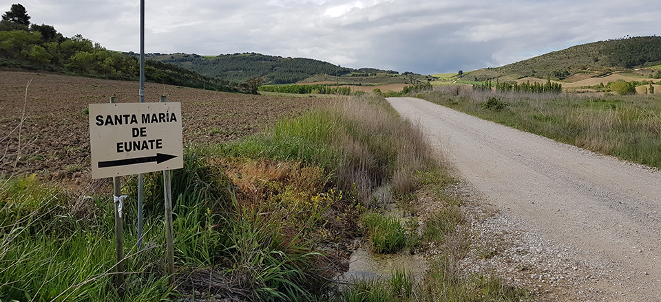 Road to Santa Maria de Eunate Church