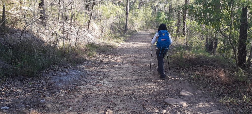 Camino Training