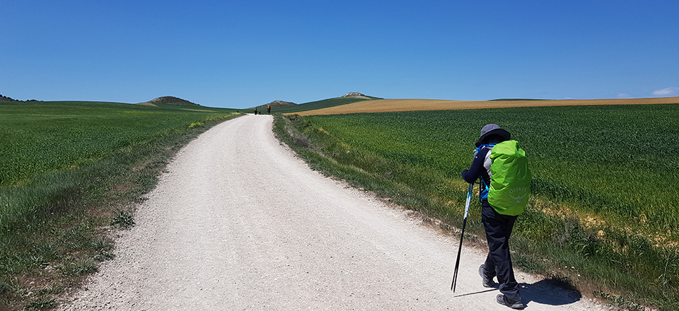 Camino Curved Ball