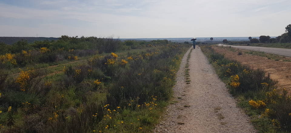 Would I walk the Camino Frances again?