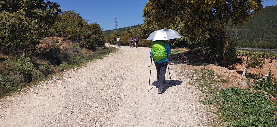 Day 12 – Warm Day to Navarrete