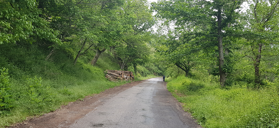 The Valley of the Fallen