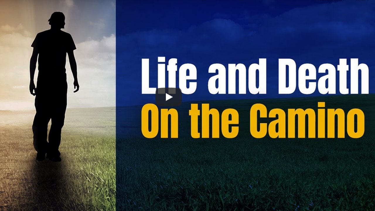 Life & Death on the Camino and Peaceable Projects