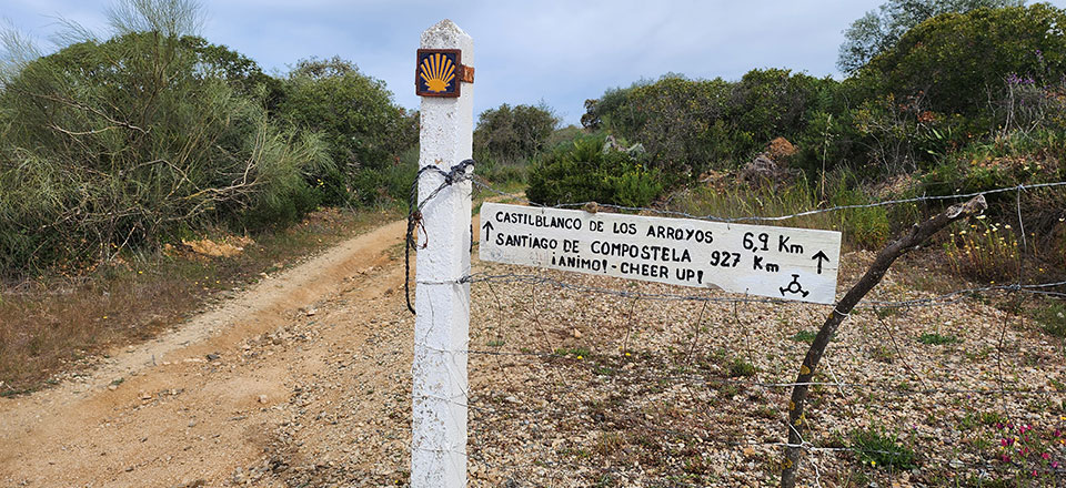 Day 3 - Guillena to Castilblanco