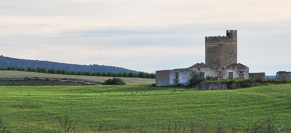 Day 3 – Guillena to Castilblanco – VdlP Camino Blog & Video