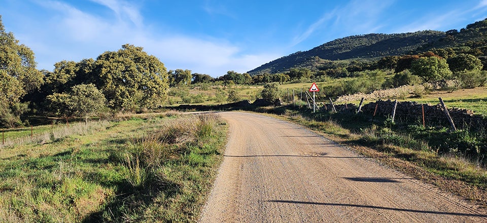 Day 6 - El Real de la Jarra to Monesterio