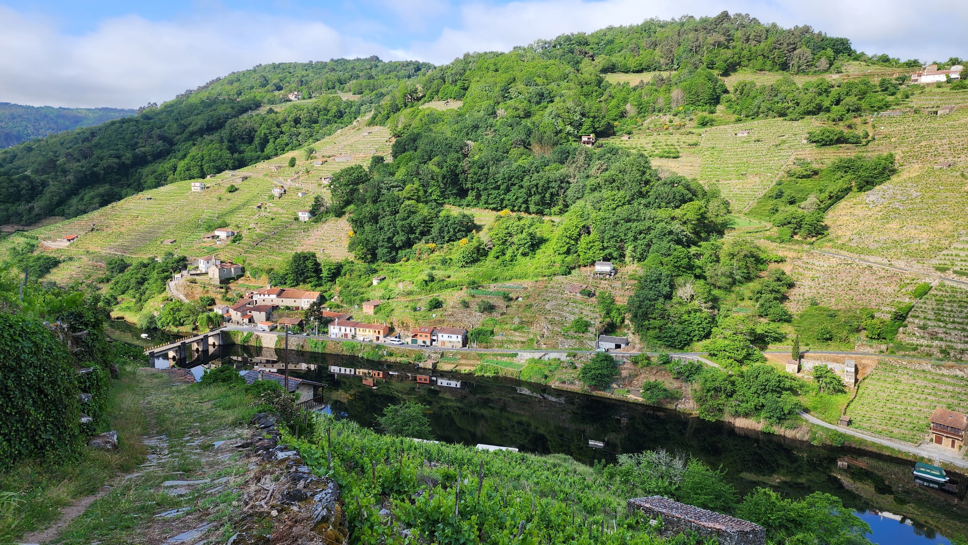 Belesar on the Río Miño, with the Camino de Invierno winding through the steep terraced vineyards of the Ribeira Sacra.