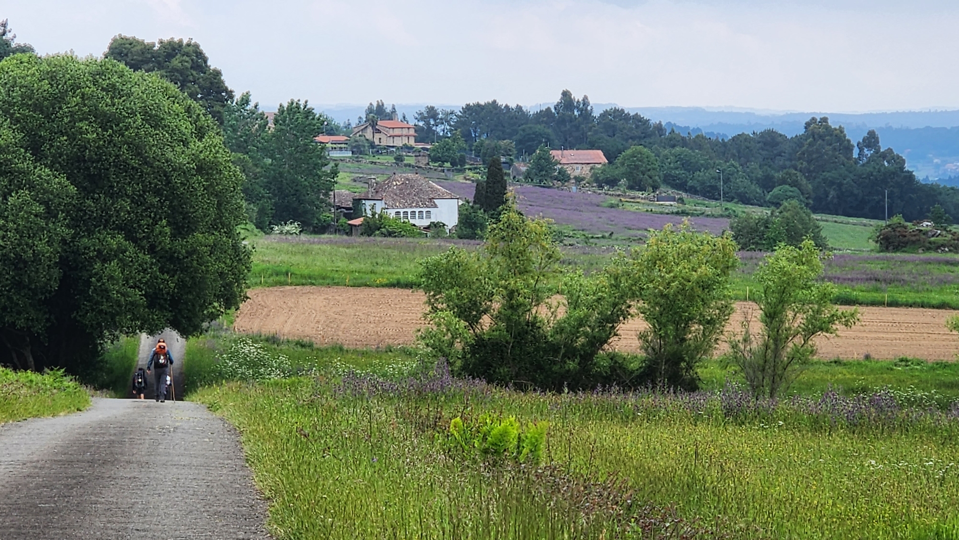 The approach to Dornelas, where we stayed at the albergue in a later Camino
