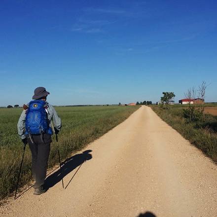 Camino Frances 2015