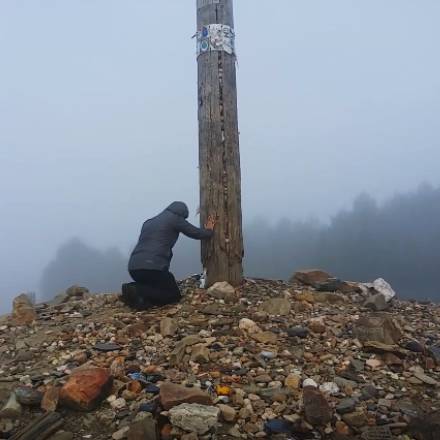 Camino Frances 2016