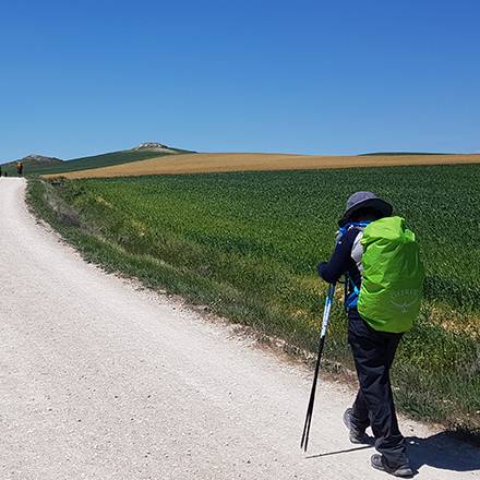 Camino Frances 2018