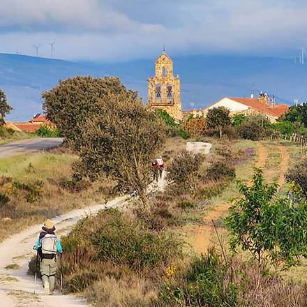 Camino Frances 2023