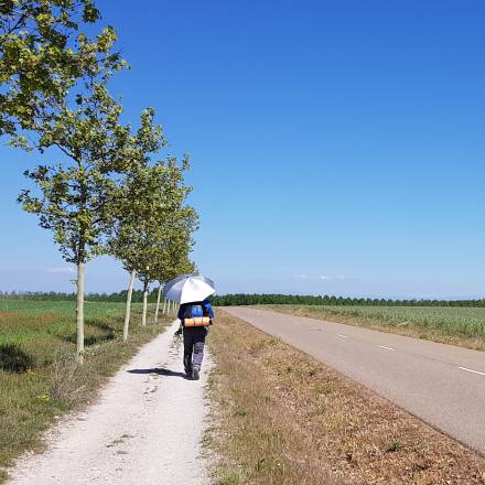 Camino Preparation 2018