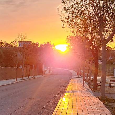 Camino Moments