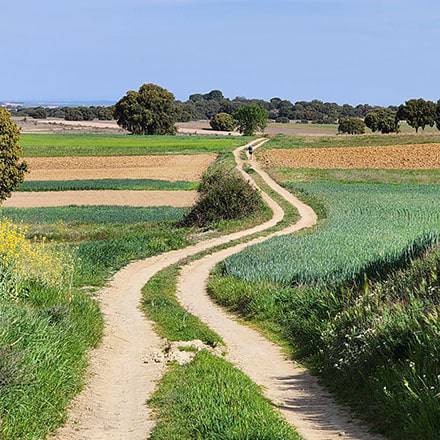 Camino Journey