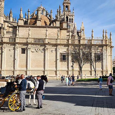Camino Places