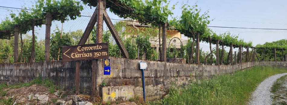 Day 12 - Ourense to Tamallancos - Camino sign post - guide