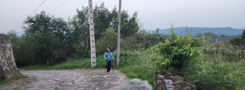 Day 12 - Ourense to Tamallancos - steep climb