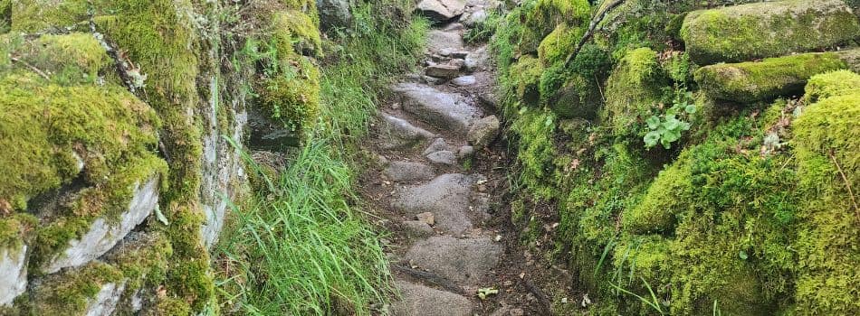 Day 14 - Oseira to Botos - rocky road
