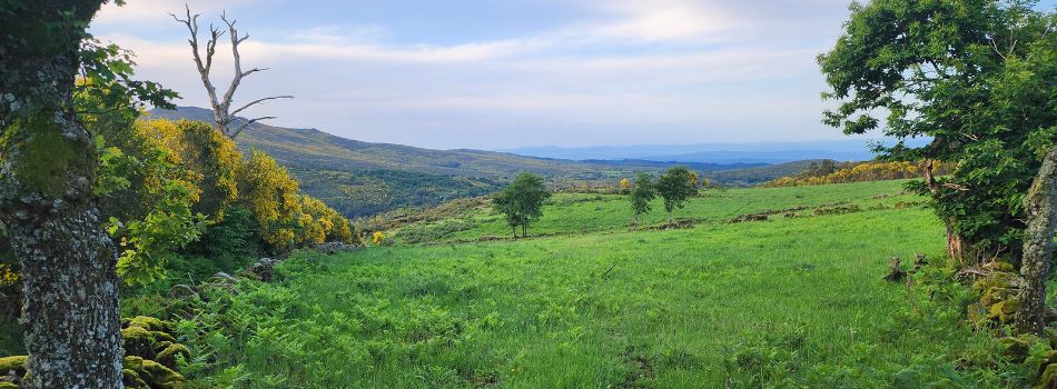 Day 14 - Oseira to Botos - stunning view