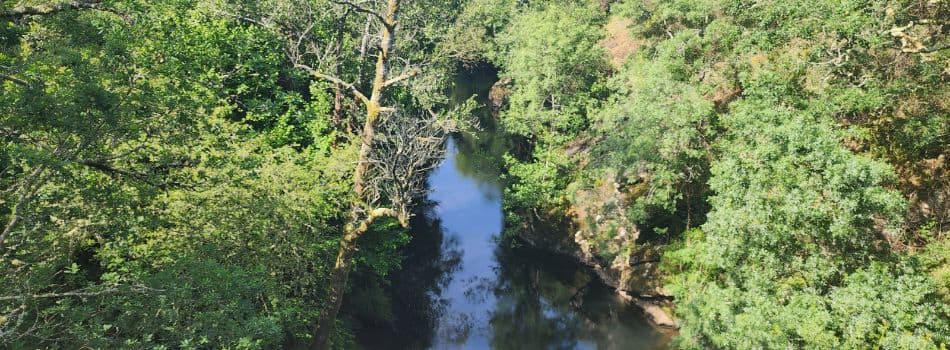 Day 15 - Botos to Silleda - river