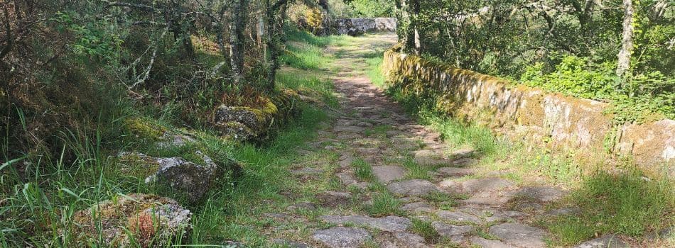Day 15 - Botos to Silleda - rocky path