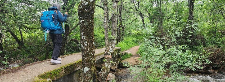 Day 3 - Manzanares El Real to Cercedilla - crossing stream