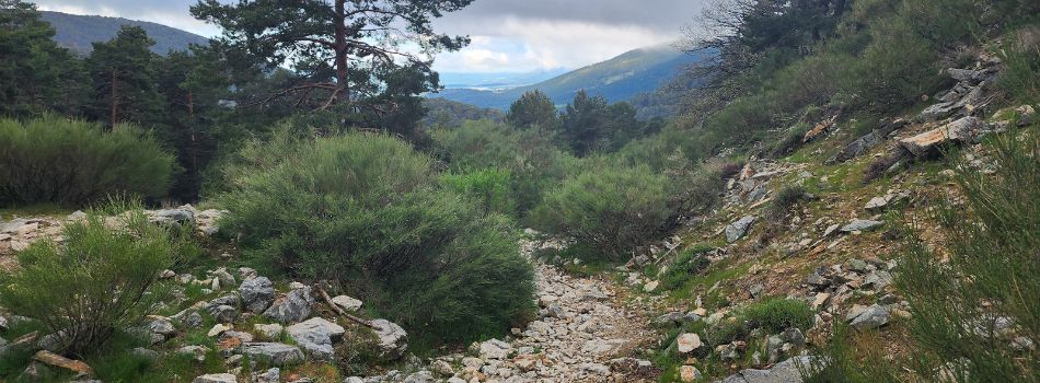 Day 4 - Cercedilla to La Granja de San Ildefonso - steep rocky path