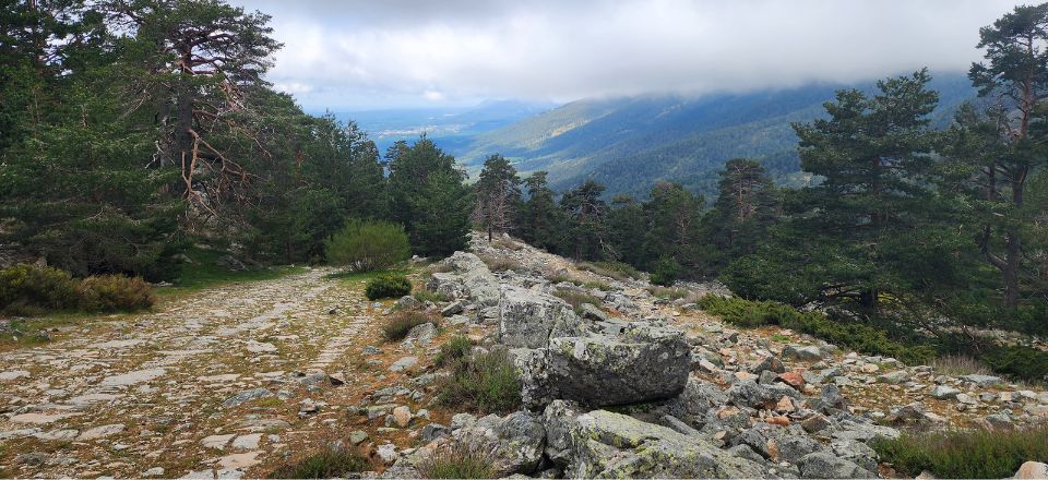 Day 4 – Cercedilla to La Granja de San Ildefonso