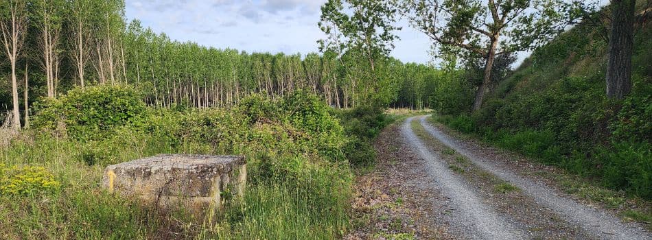 Day 7 - Los Huertos to Santa Maria La Real de Nieva - path