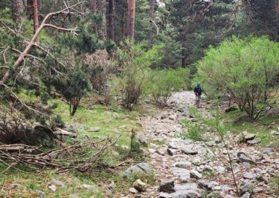 Cercedilla to La Granja