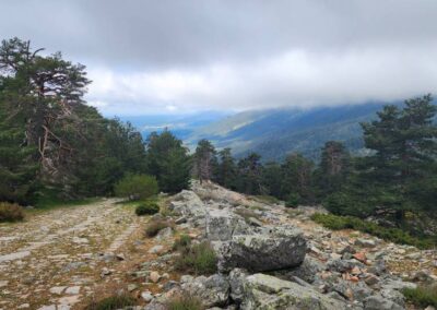 Cercedilla to La Granja