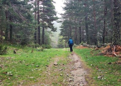 Cercedilla to La Granja