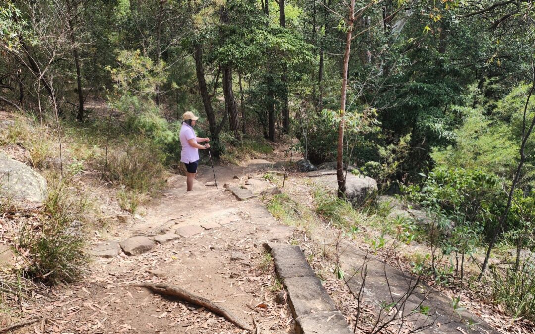 Camino de Santiago Training