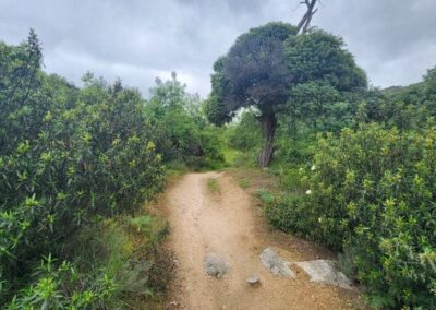 Manzanares to Cercedilla