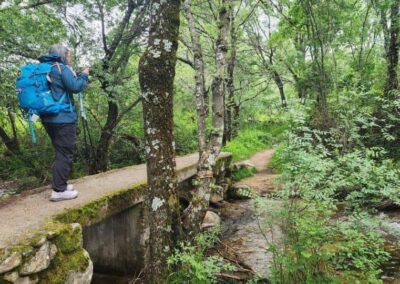 Manzanares to Cercedilla