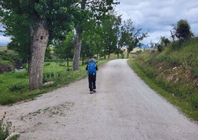 Madrid to Colmenar Viejo